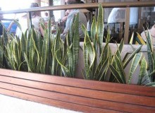 Kwikfynd Indoor Planting
glaziersbay