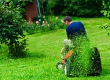 Kwikfynd Lawn Mowing
glaziersbay