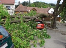Kwikfynd Tree Cutting Services
glaziersbay