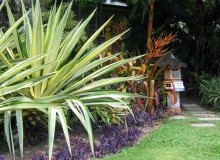 Kwikfynd Tropical Landscaping
glaziersbay